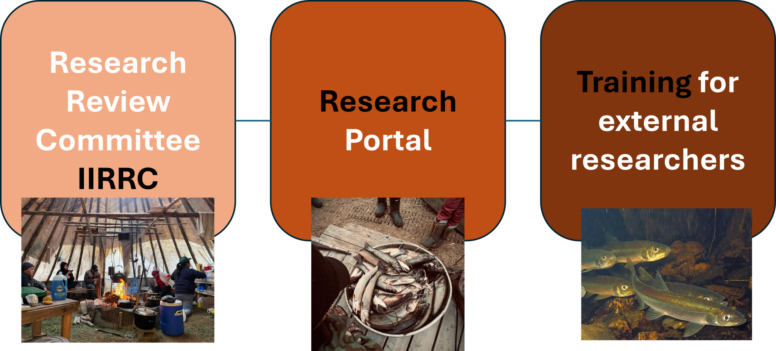 Development of Aashukin research systems and online resources